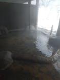 鉛温泉　藤三旅館に投稿された画像（2023/2/1）