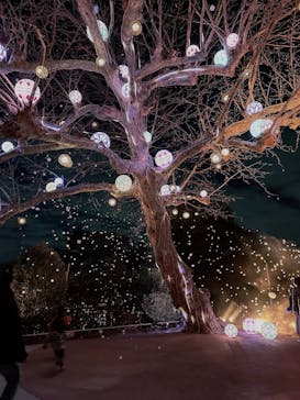 西武園ゆうえんちに投稿された画像（2023/2/1）