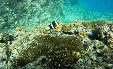 武藤潜水に投稿された画像（2023/2/1）