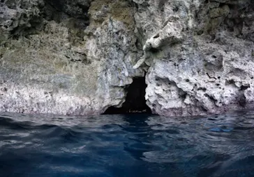 武藤潜水に投稿された画像（2023/2/1）