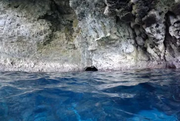 武藤潜水に投稿された画像（2023/2/1）