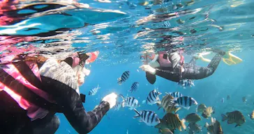 武藤潜水に投稿された画像（2023/2/1）