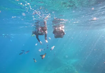 武藤潜水に投稿された画像（2023/2/1）