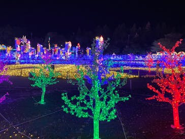 伊豆ぐらんぱる公園に投稿された画像（2023/2/1）