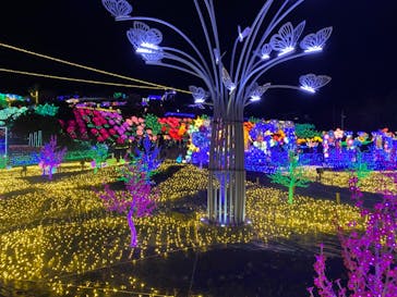 伊豆ぐらんぱる公園に投稿された画像（2023/2/1）