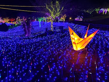 伊豆ぐらんぱる公園に投稿された画像（2023/2/1）