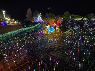 伊豆ぐらんぱる公園に投稿された画像（2023/2/1）