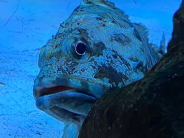 名古屋港水族館に投稿された画像（2023/2/1）