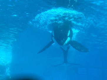 名古屋港水族館に投稿された画像（2023/2/1）