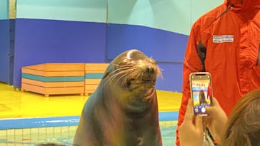 ゼロ距離水族館 伊勢シーパラダイスに投稿された画像（2023/2/1）