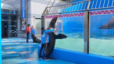 ゼロ距離水族館 伊勢シーパラダイスに投稿された画像（2023/2/1）