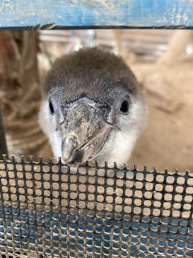 ゼロ距離水族館 伊勢シーパラダイスに投稿された画像（2023/2/1）