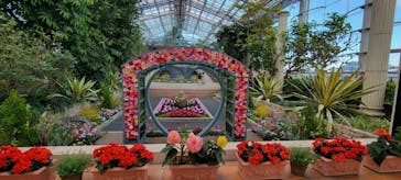 はままつフラワーパークに投稿された画像（2023/2/1）