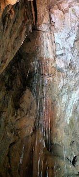 はままつフラワーパークに投稿された画像（2023/2/1）