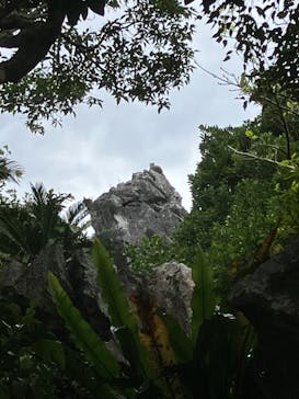 アスムイハイクスに投稿された画像（2023/2/1）