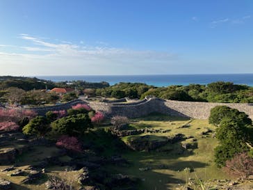 今帰仁城跡に投稿された画像（2023/2/1）