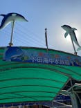 下田海中水族館に投稿された画像（2023/2/1）