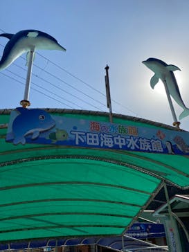 下田海中水族館に投稿された画像（2023/2/1）