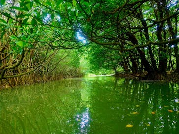 石垣島 ADVENTURE PiPi（イシガキジマアドベンチャーピピ）に投稿された画像（2023/2/1）