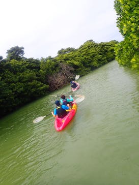 石垣島 ADVENTURE PiPi（イシガキジマアドベンチャーピピ）に投稿された画像（2023/2/1）