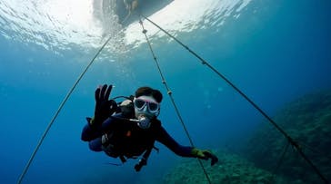 DIVING-SHOP SUNSに投稿された画像（2023/2/1）