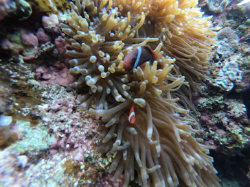 武藤潜水に投稿された画像（2023/2/2）