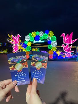 伊豆ぐらんぱる公園に投稿された画像（2023/2/2）