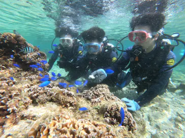 武藤潜水に投稿された画像（2023/2/2）