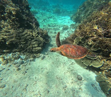 宮古島 ADVENTURE PiPi（ミヤコジマ アドベンチャー ピピ）に投稿された画像（2023/2/2）