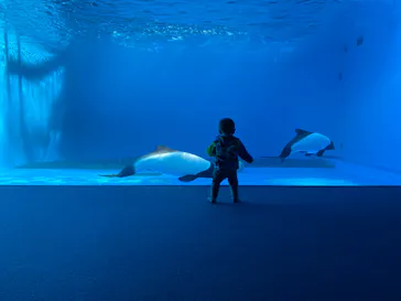 仙台うみの杜水族館に投稿された画像（2023/2/2）