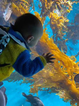 仙台うみの杜水族館に投稿された画像（2023/2/2）