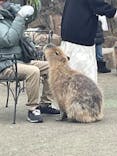 伊豆シャボテン動物公園に投稿された画像（2023/2/2）