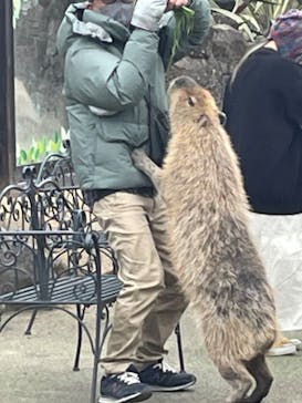 伊豆シャボテン動物公園に投稿された画像（2023/2/2）