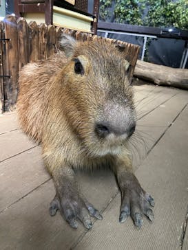 カワスイ 川崎⽔族館に投稿された画像（2023/2/2）