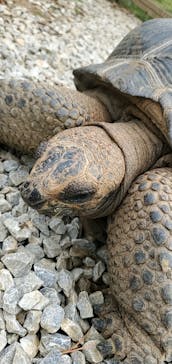 美らヤシパークオキナワ・東南植物楽園に投稿された画像（2023/2/2）
