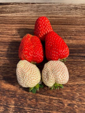 井上寅雄農園に投稿された画像（2023/2/2）