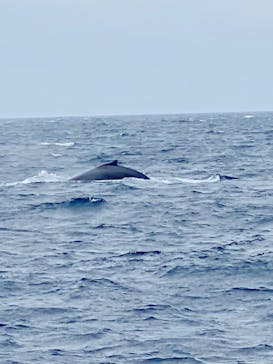 NEWS那覇店に投稿された画像（2023/2/2）