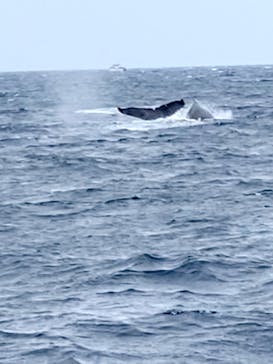 NEWS那覇店に投稿された画像（2023/2/2）