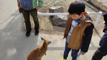 神戸どうぶつ王国に投稿された画像（2023/2/2）