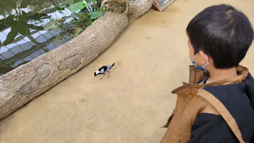 神戸どうぶつ王国に投稿された画像（2023/2/2）