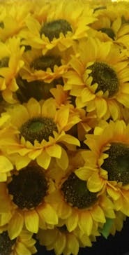 ゴッホ・アライブに投稿された画像（2023/2/3）