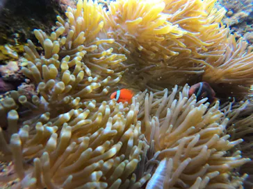 武藤潜水に投稿された画像（2023/2/3）