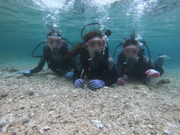 武藤潜水に投稿された画像（2023/2/3）