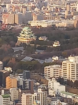 屋外展望台スカイプロムナードに投稿された画像（2023/2/3）