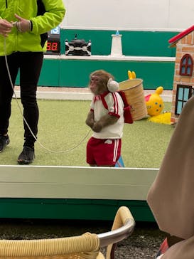 おさるランド＆アニタウン　日光さる軍団劇場に投稿された画像（2023/2/3）