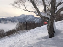 妙高杉ノ原スキー場に投稿された画像（2023/2/3）