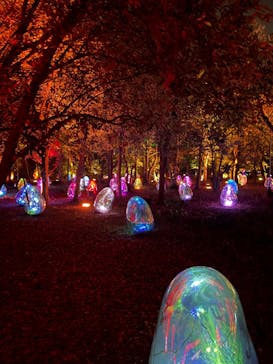 チームラボ ボタニカルガーデン 大阪に投稿された画像（2023/2/3）