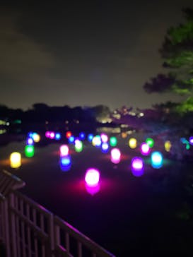 チームラボ ボタニカルガーデン 大阪に投稿された画像（2023/2/3）