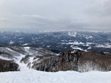 ホワイトピアたかすに投稿された画像（2023/2/3）