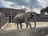 東武動物公園に投稿された画像（2023/2/4）